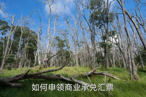 如何申領(lǐng)商業(yè)承兌匯票