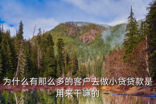 客戶為什么貸款，為什么要分析客戶來貸款的目的和借款用途