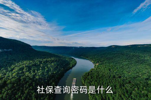 醫(yī)療卡查詢密碼是什么意思，社保查詢密碼是什么