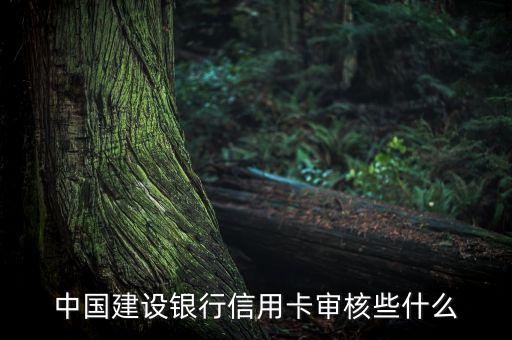中國(guó)建設(shè)銀行信用卡審核些什么