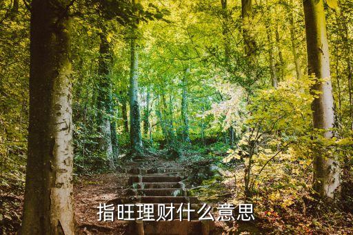 指旺理財變現(xiàn)什么意思，請間指旺理才怎么變現(xiàn)呀