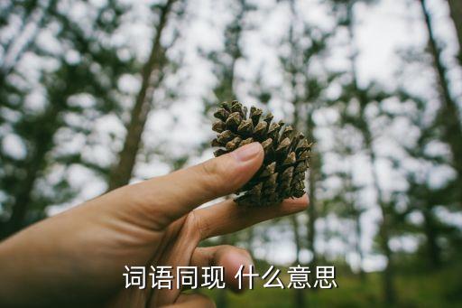 詞語(yǔ)同現(xiàn) 什么意思