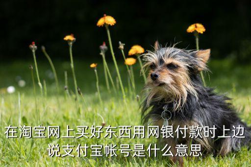 在淘寶網(wǎng)上買好東西用網(wǎng)銀付款時上邊說支付寶帳號是什么意思