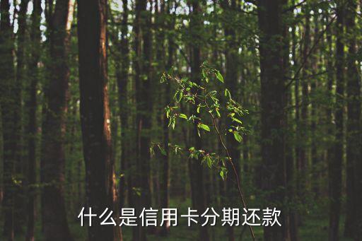 廣發(fā)信用卡分期是什么意思，這個(gè)廣發(fā)信用卡分期付款是什么意思啊 看不懂 首期都要把機(jī)子的錢全