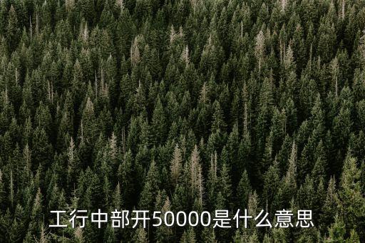工行中部開50000是什么意思