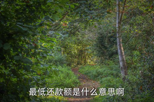 最低還款額是什么意思啊