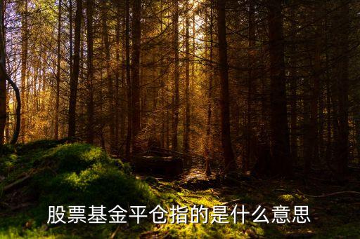 股票基金平倉指的是什么意思