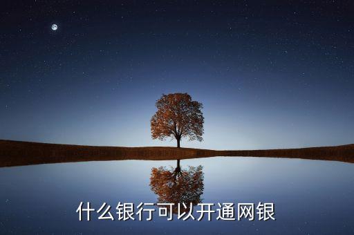 什么銀行可以開通網銀支付密碼是什么，哪個銀行可以直接在網上開通網銀支付功能