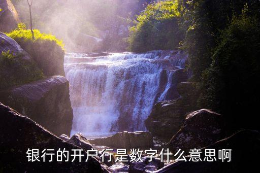 工行的開戶行號是什么意思，銀行的開戶行是數(shù)字什么意思啊