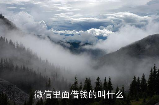 微信里面借錢的叫什么