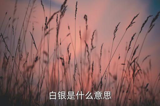 存銀是什么意思是什么意思是什么意思是什么，中國農(nóng)業(yè)銀行存單是什么意思