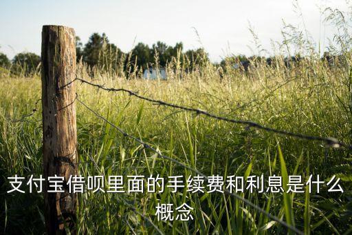 螞蟻借唄 手續(xù)費(fèi)是什么，支付寶借唄里面的手續(xù)費(fèi)和利息是什么概念