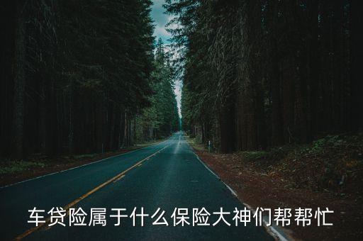 車貸險屬于什么保險大神們幫幫忙