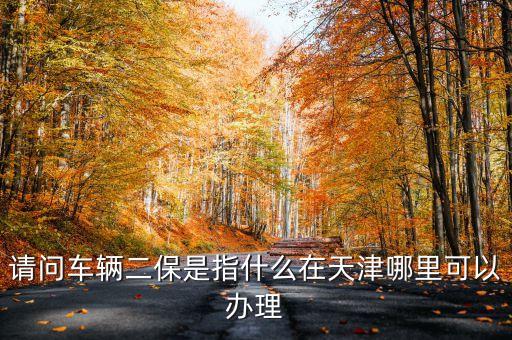 請(qǐng)問(wèn)車(chē)輛二保是指什么在天津哪里可以辦理