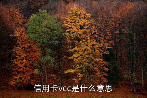 信用卡vcc是什么意思