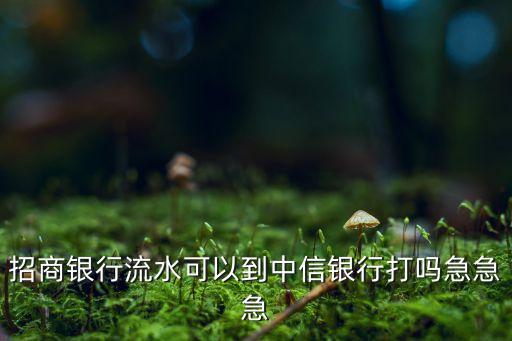 招商銀行流水可以到中信銀行打嗎急急急
