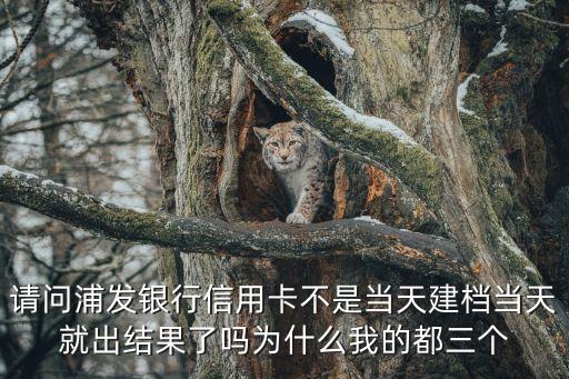 浦發(fā)網(wǎng)申建檔后什么時候征信，浦發(fā)銀行信用卡17號建檔查了征信最慢多久出結(jié)果
