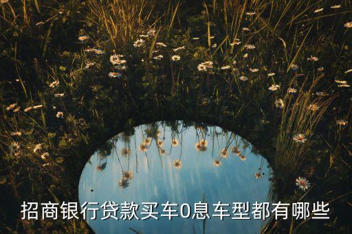 招商有什么貸款買車，招商銀行車貸有哪幾款車