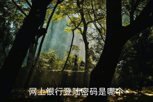 網(wǎng)上銀行登陸密碼是哪個(gè)