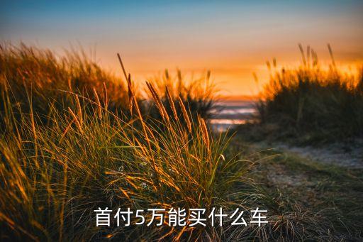 首付5萬(wàn)能買什么車