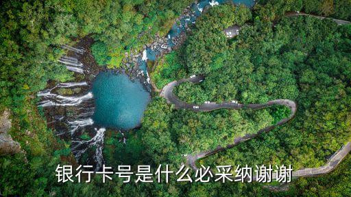 銀行卡號(hào)指什么時(shí)候，銀行卡儲(chǔ)蓄卡卡號(hào)是什么意思