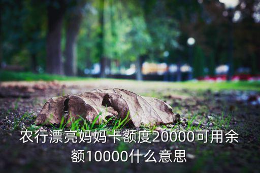 農(nóng)行漂亮媽媽卡額度20000可用余額10000什么意思