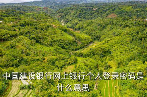 中國建設(shè)銀行網(wǎng)上銀行個(gè)人登錄密碼是什么意思