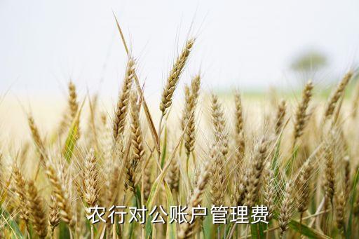 農(nóng)行對(duì)公賬戶管理費(fèi)
