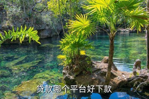 有沒(méi)有什么好下的網(wǎng)貸，最容易下款的網(wǎng)貸是什么