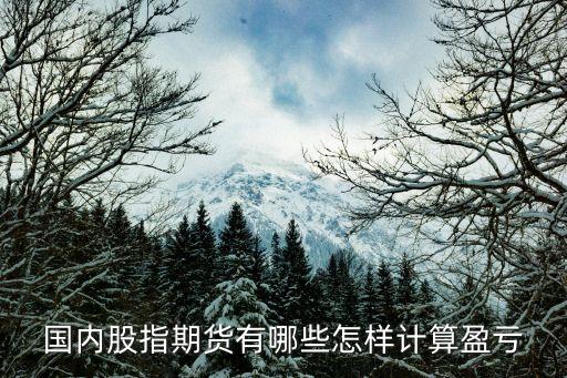 國(guó)內(nèi)股指期貨有哪些怎樣計(jì)算盈虧