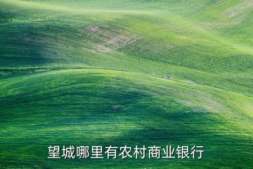 望城哪里有農(nóng)村商業(yè)銀行