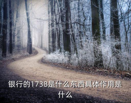 工行的1738是什么，銀行的1738是什么東西具體作用是什么