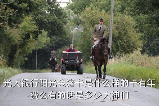光大銀行陽光金豬卡是什么樣的卡有年費(fèi)么有的話是多少大神們