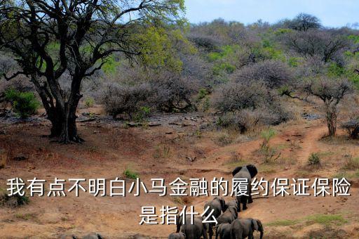 我有點不明白小馬金融的履約保證保險是指什么