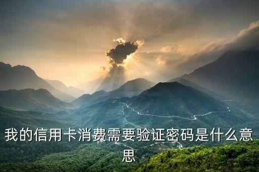 我的信用卡消費(fèi)需要驗(yàn)證密碼是什么意思