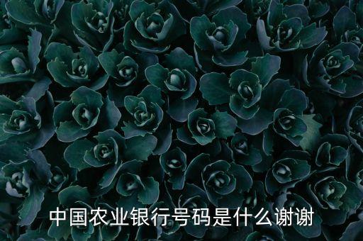 中國農(nóng)業(yè)銀行號碼是什么謝謝