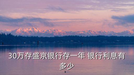 30萬(wàn)存盛京銀行存一年 銀行利息有多少