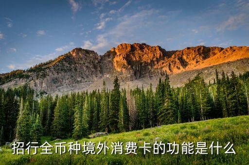 招行全幣種境外消費(fèi)卡的功能是什么