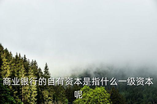 銀行的資本是什么，銀行二級資本有哪些