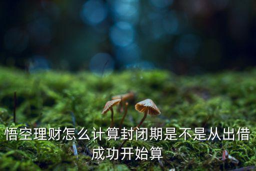 悟空理財怎么計算封閉期是不是從出借成功開始算