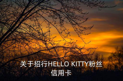 關(guān)于招行HELLO KITTY粉絲信用卡