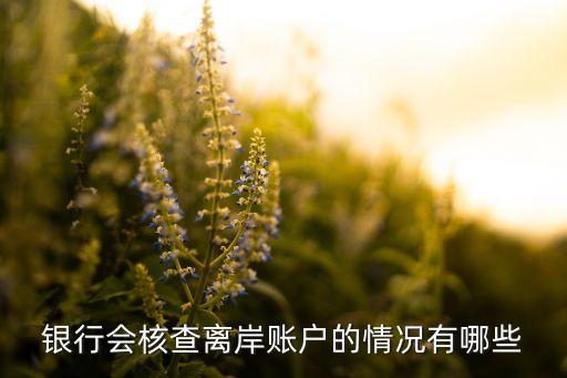 銀行會(huì)核查離岸賬戶(hù)的情況有哪些