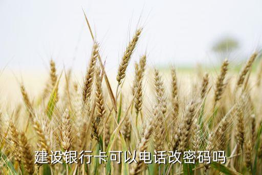 電話修改建行密碼是什么情況，建設(shè)銀行卡可以電話改密碼嗎