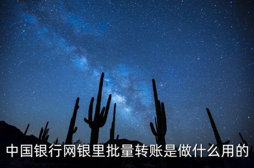 中國銀行網(wǎng)銀里批量轉(zhuǎn)賬是做什么用的