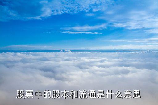 股票流通股本是什么意思，股票中的股本和流通是什么意思