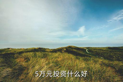 5萬塊投資什么好，5萬元投資什么項目好