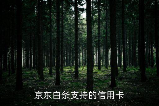 京東白條支持的信用卡