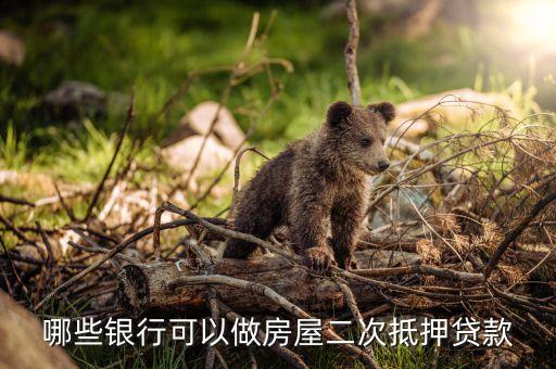 哪些銀行可以做房屋二次抵押貸款