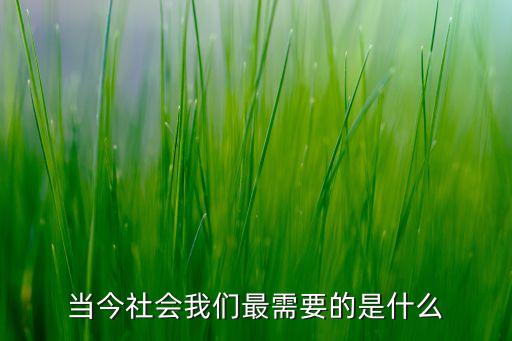 當(dāng)前我們最需要什么問(wèn)題是什么意思，當(dāng)今社會(huì)我們最需要的是什么
