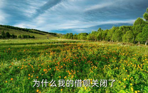 為什么我的借唄關(guān)閉了